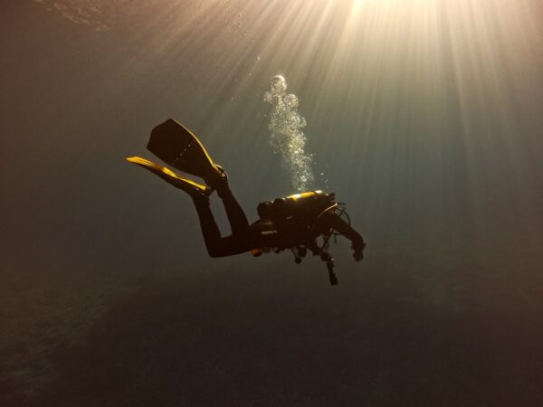 Open Water Diver